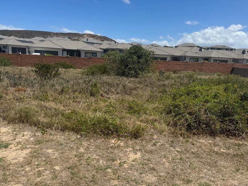 0 Bedroom Property for Sale in Diaz Western Cape